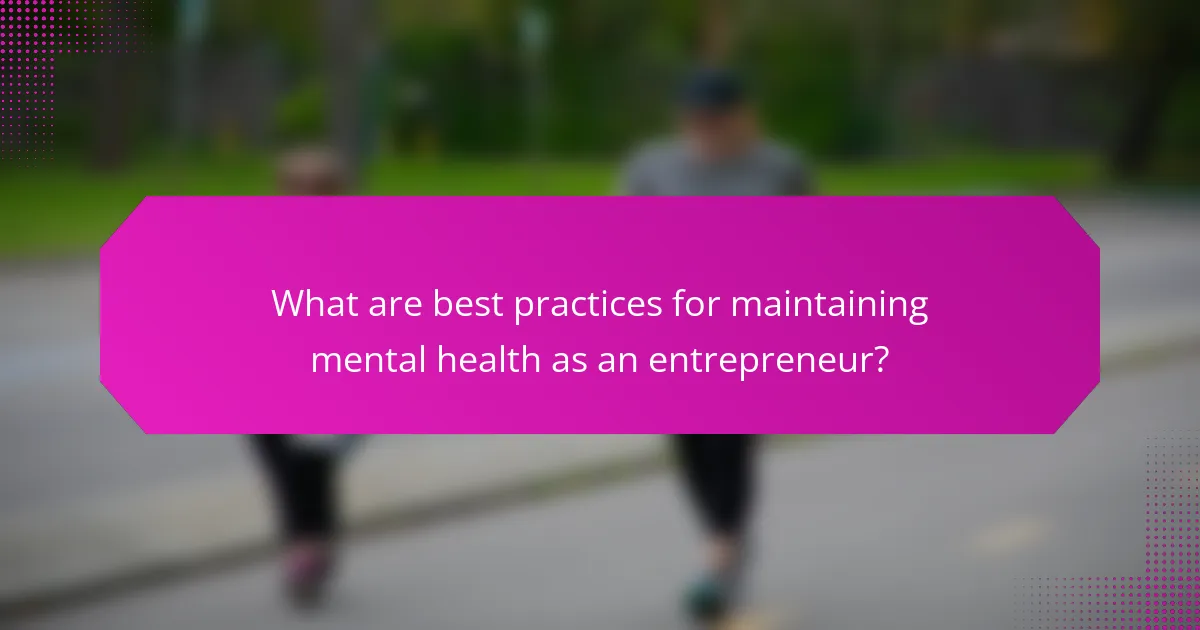 What are best practices for maintaining mental health as an entrepreneur?