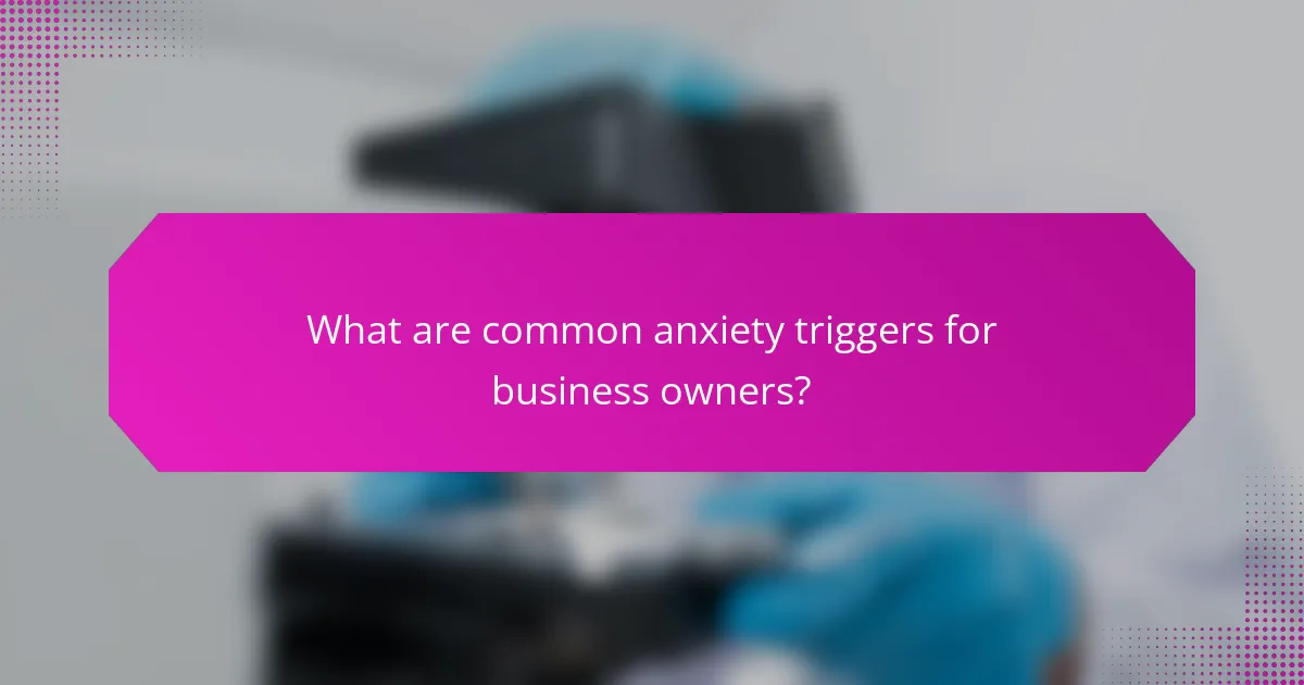What are common anxiety triggers for business owners?