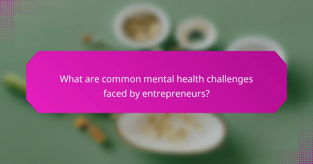 What are common mental health challenges faced by entrepreneurs?