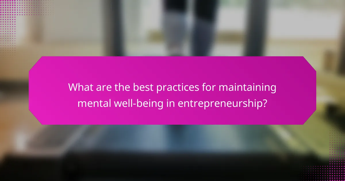 What are the best practices for maintaining mental well-being in entrepreneurship?