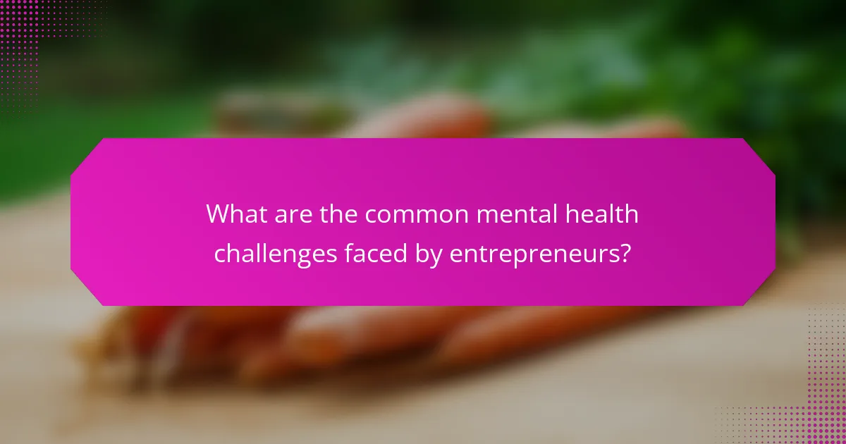 What are the common mental health challenges faced by entrepreneurs?