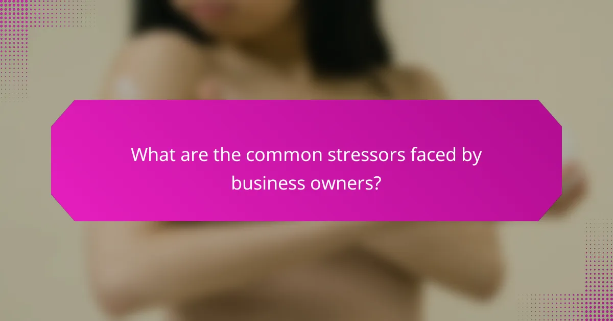What are the common stressors faced by business owners?