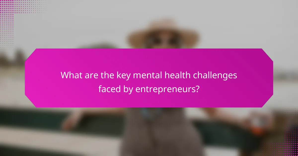 What are the key mental health challenges faced by entrepreneurs?