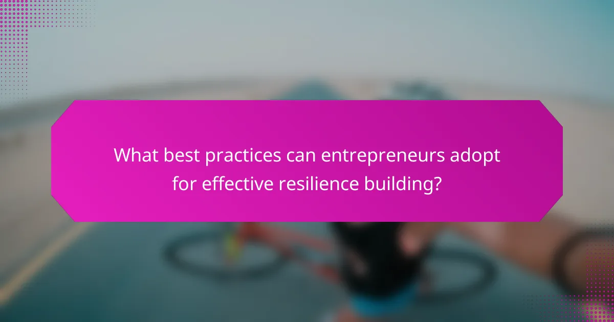 What best practices can entrepreneurs adopt for effective resilience building?