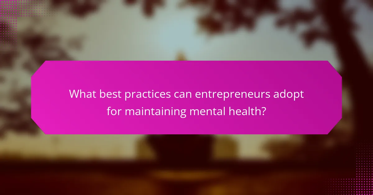 What best practices can entrepreneurs adopt for maintaining mental health?