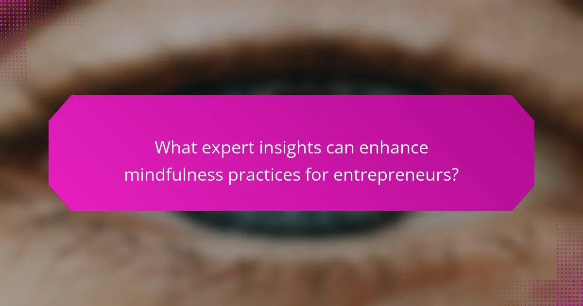 What expert insights can enhance mindfulness practices for entrepreneurs?