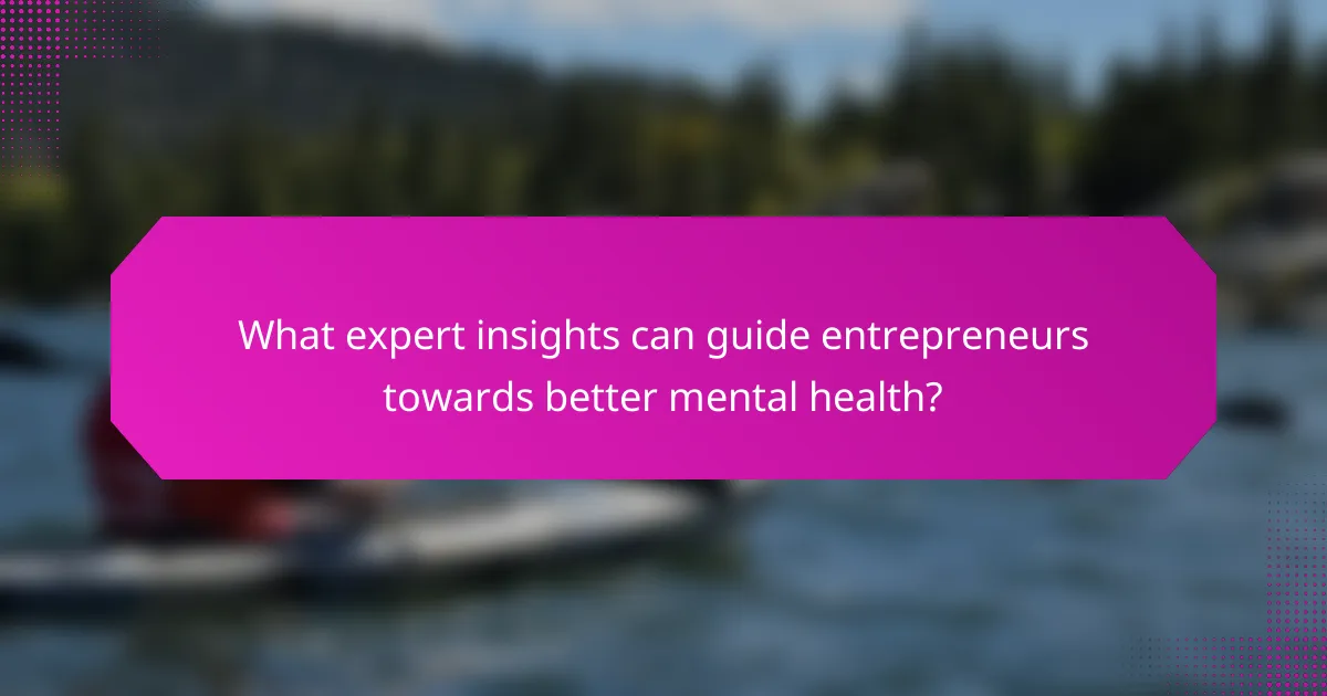 What expert insights can guide entrepreneurs towards better mental health?