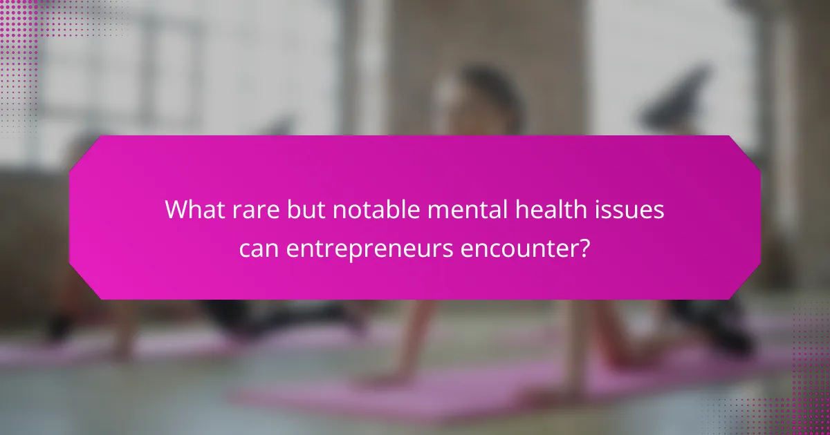 What rare but notable mental health issues can entrepreneurs encounter?