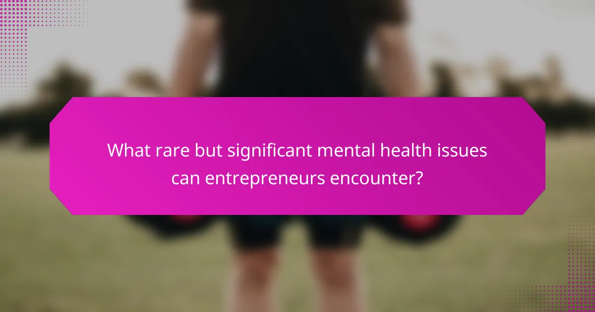 What rare but significant mental health issues can entrepreneurs encounter?