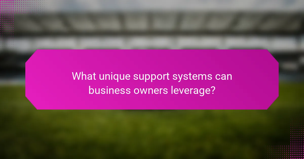 What unique support systems can business owners leverage?