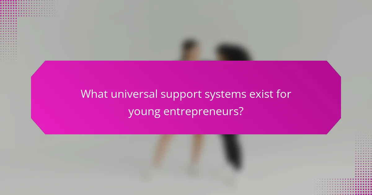 What universal support systems exist for young entrepreneurs?